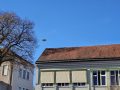 20251104_113747-Klein
