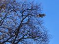 20251104_113750-Klein