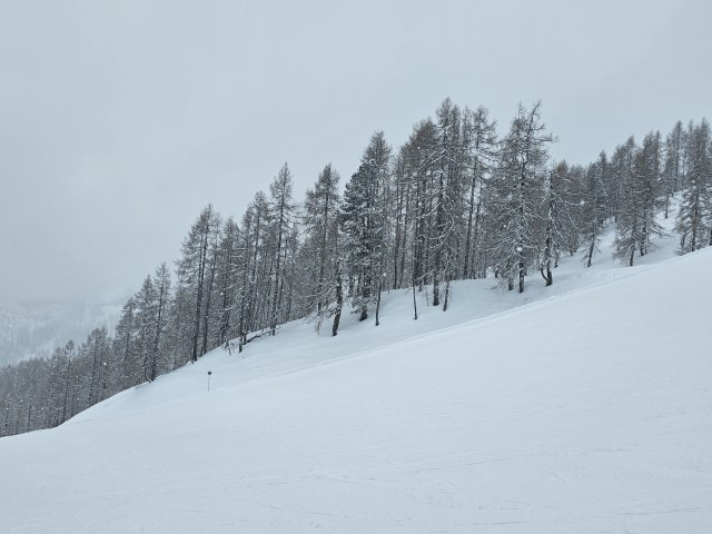 20260317_101954-Klein