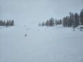 20260317_101942-Klein