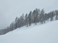 20260317_101954-Klein