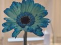 20260520_174956-Klein