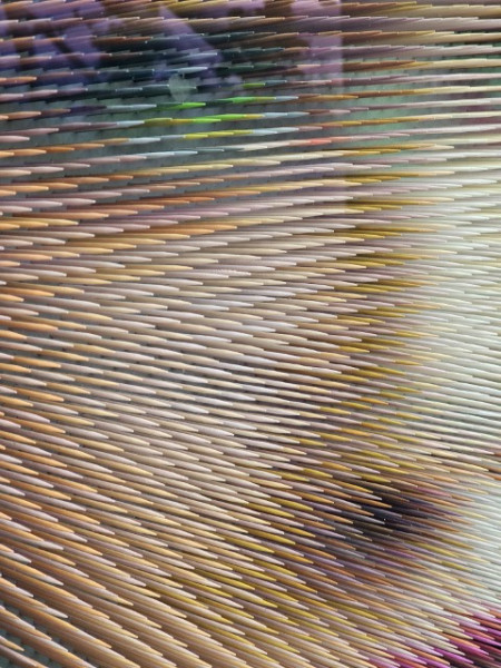 20260609_144951-Klein