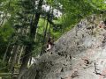 IMG-20260609-WA0013-Klein