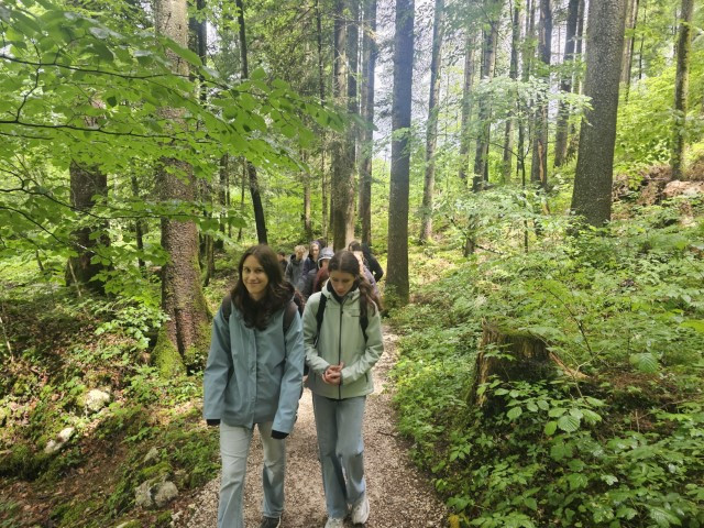 20260611_135433-Klein