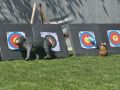 20260611_105744-Klein