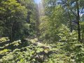 20260625_131514-Klein