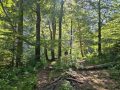 20260625_164229-Klein