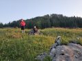20260626_051640-Klein