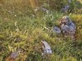 20260626_052750-Klein
