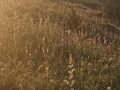 20260626_052923-Klein