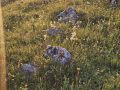 20260626_053221-Klein