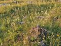 20260626_053244-Klein