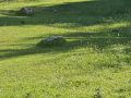 20260626_081231-Klein