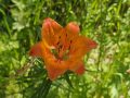 20260626_114034-Klein
