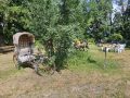 20260702_094533-Klein