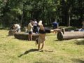 IMG-20260619-WA0019-Klein