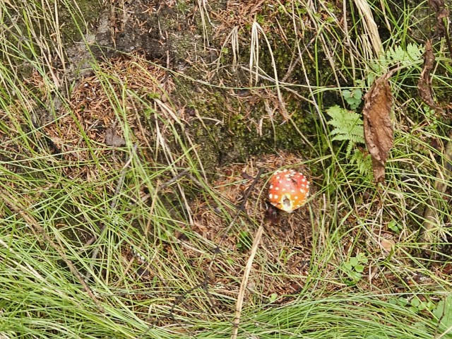 20260910_125311-Klein