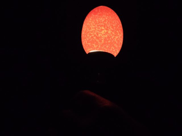 20261009_083642-Klein