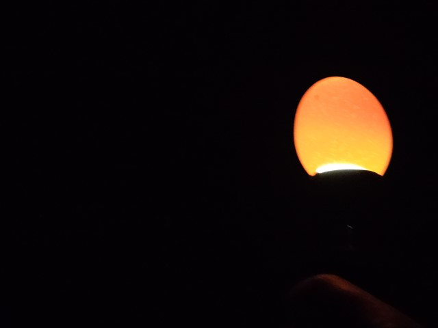20261009_083736-Klein