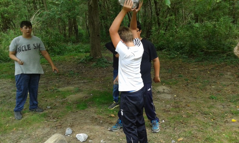 20150915_112734 (800x480)