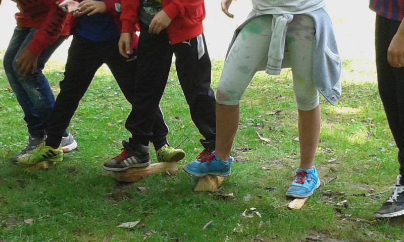 20150916_103256 (800x480)