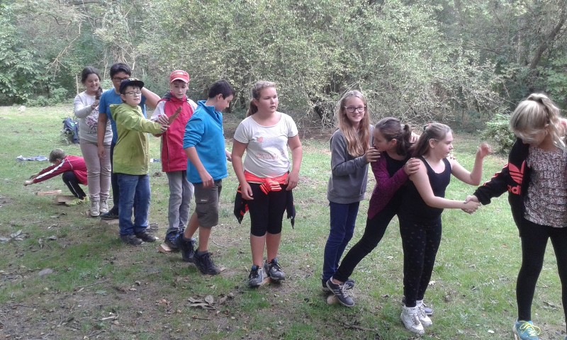 20150916_105800 (800x480)