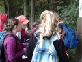 20150916_084504 (800x480) (800x480)