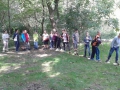 20150916_103052 (800x480)