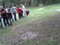 20150916_105337 (800x480)