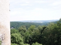 ORG_DSC09107