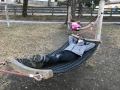 IMG-20190311-WA0055