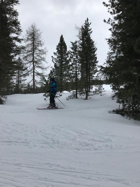IMG-20190313-WA0029