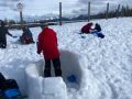 IMG-20250312-WA0049