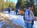 IMG-20250312-WA0243