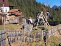 IMG-20250312-WA0249